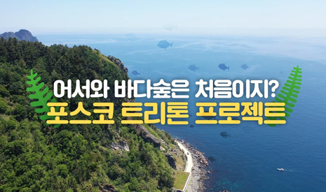 Welcome to the world of marine afforestation. Check it out! POSCO Triton Project