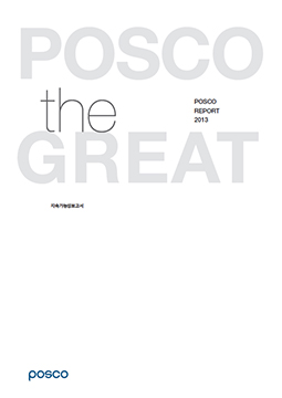 POSCO Report 2013