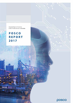 POSCO Report 2017