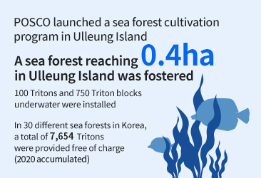 POSCO launched a sea forest cultivation program in Ulleung Island A sea forest reaching 0.4ha in Ulleung Island was fostered 100 Tritons and 750 Triton blocks underwater were installed In 30 different sea forests in Korea, a total of 7,654 Tritons were provided free of charge (2020 accumulated)